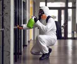 Professional Mold Removal Services in Brea, CA